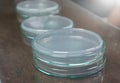 Petri dishes are used for breeding microorganisms, viruses and germs in the microbiological laboratory. Royalty Free Stock Photo